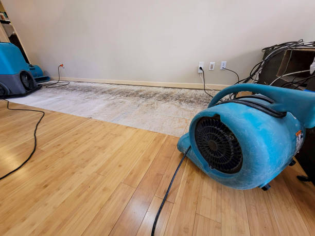 Professional Flood Damage Cleanup technician working in Pinson, AL